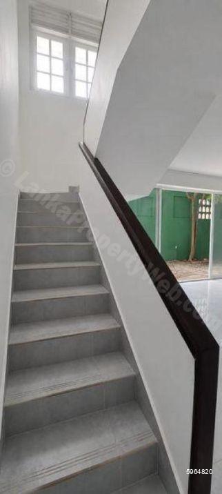 House for rent in Colombo 7