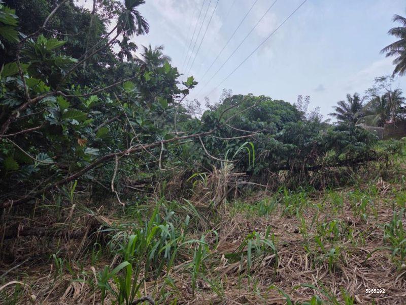Bare Land for sale in Kandana