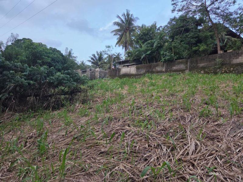 Bare Land for sale in Kandana