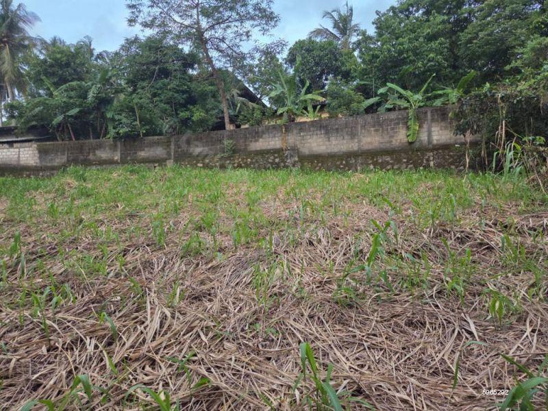 Bare Land for sale in Kandana