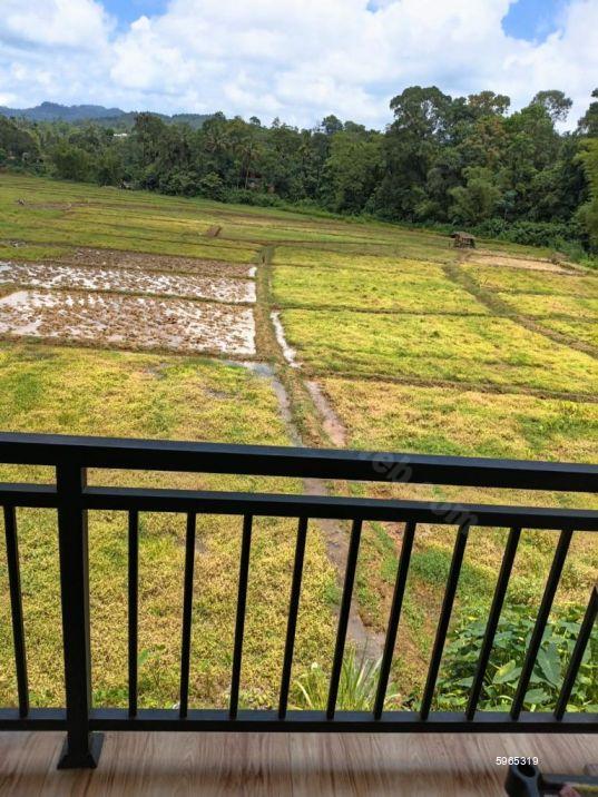 Exterior - House for sale in Nawalapitiya