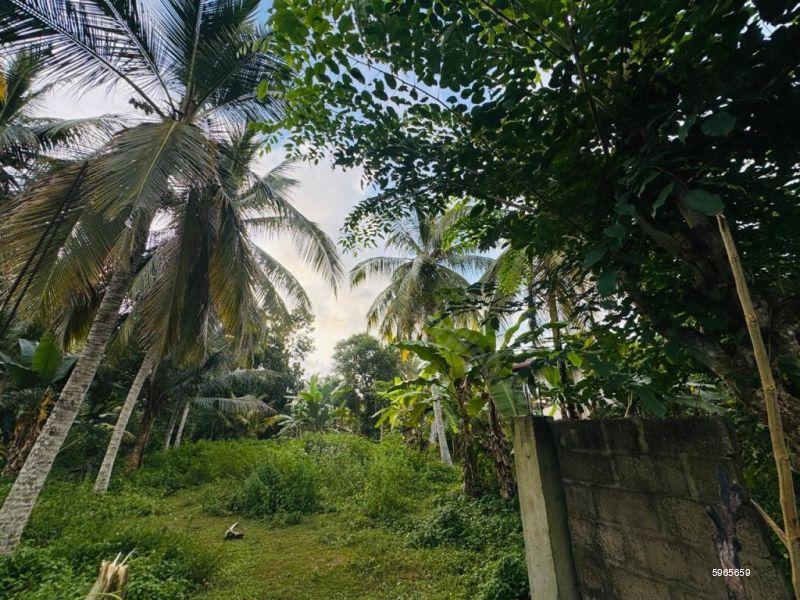 Bare Land for sale in Bandaragama
