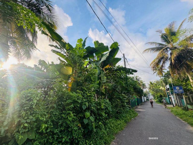 Bare Land for sale in Bandaragama