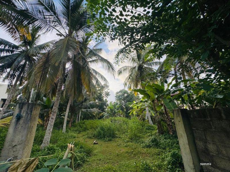 Bare Land for sale in Bandaragama