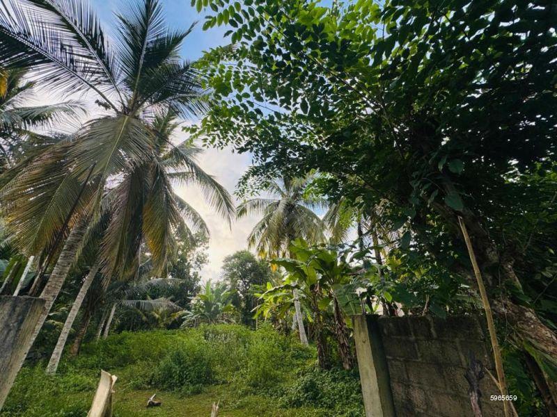 Bare Land for sale in Bandaragama