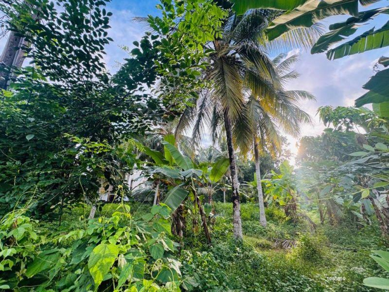 Bare Land for sale in Bandaragama