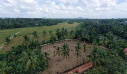 Bare Land