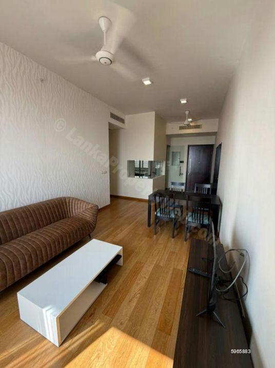Apartment for rent in Colombo 7