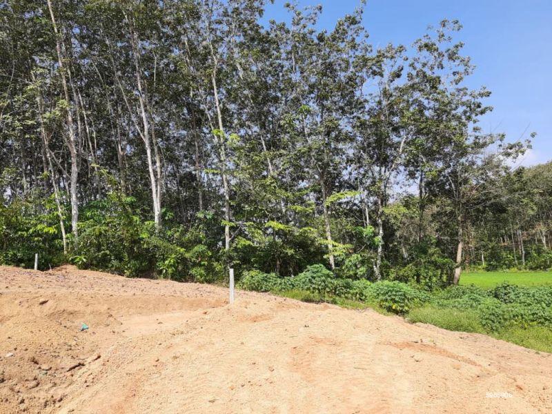 Bare Land for sale in Gonapola