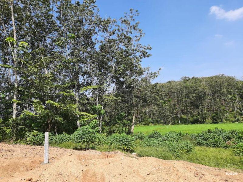Bare Land for sale in Gonapola