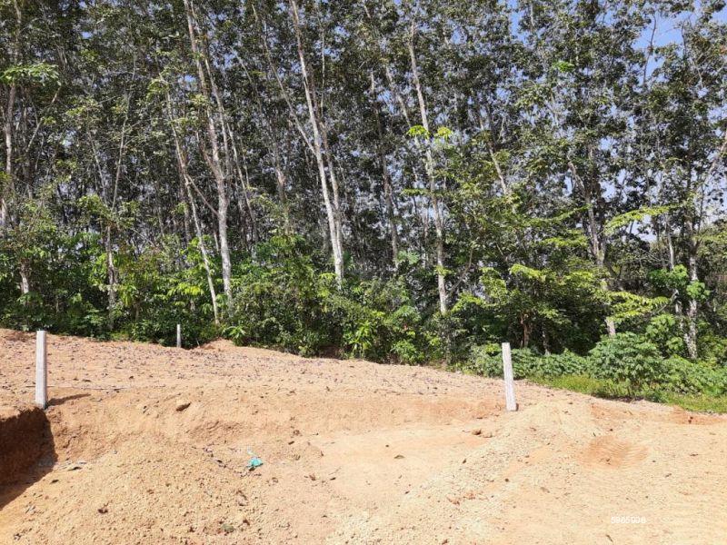 Bare Land for sale in Gonapola