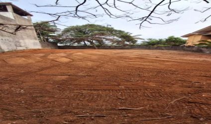 Bare Land