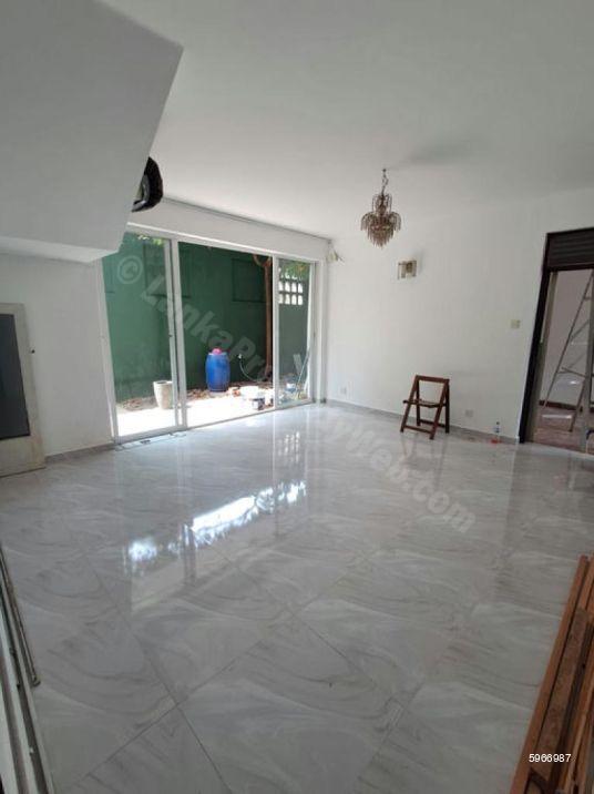House for rent in Colombo 7