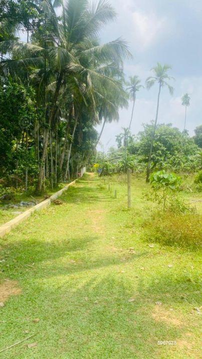 Bare Land for sale in Kadawatha