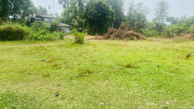 Bare Land for sale in Kadawatha