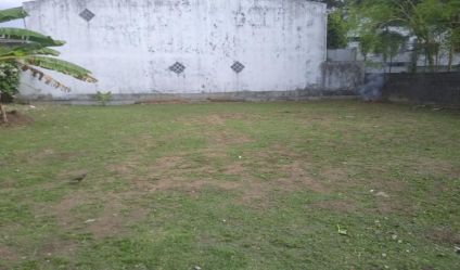 Bare Land