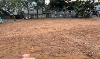 Bare Land