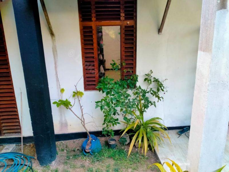 Exterior - House for sale in Kandana
