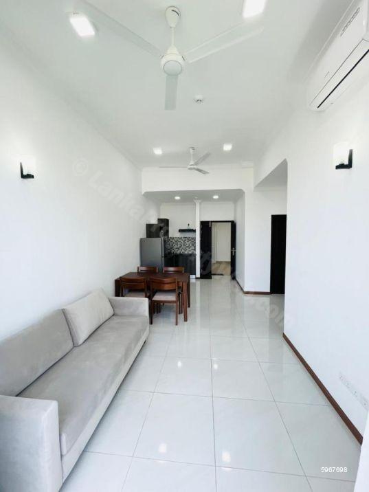 Apartment for rent in Colombo 5