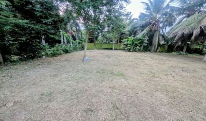 Bare Land