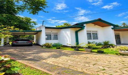 Bungalow