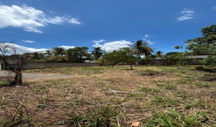 Bare Land