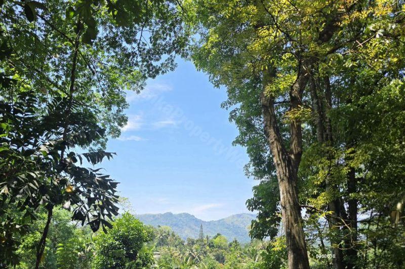 Bare Land for sale in Matale