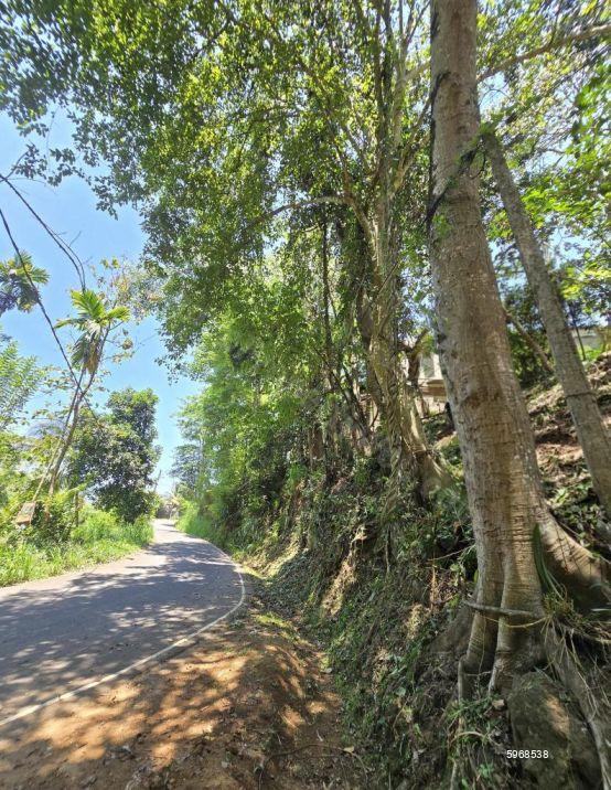 Bare Land for sale in Matale