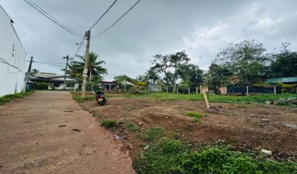 Bare Land
