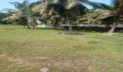 Bare Land