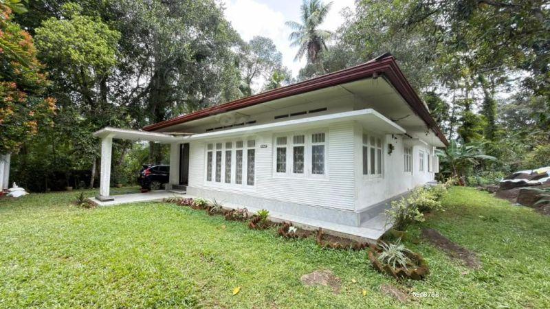 Commercial for sale in Kalutara