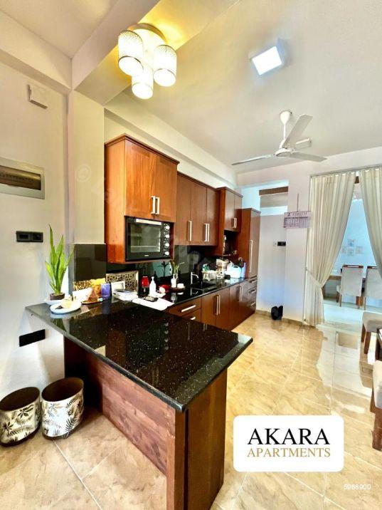 Commercial for rent in Colombo 6