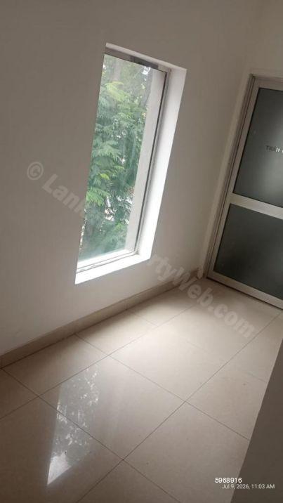 Commercial for rent in Colombo 7