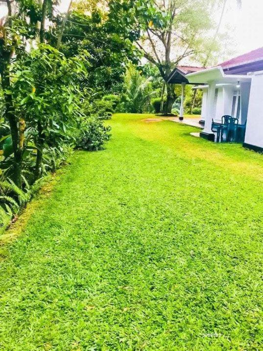 Commercial for sale in Avissawella