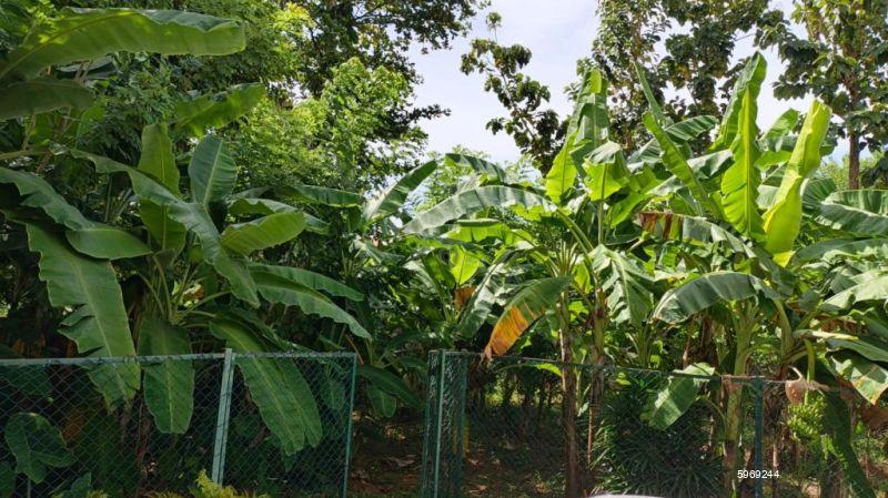 Bare Land for sale in Battaramulla