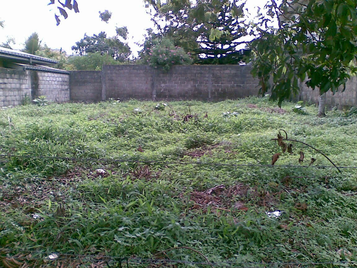 Plotview.jpg